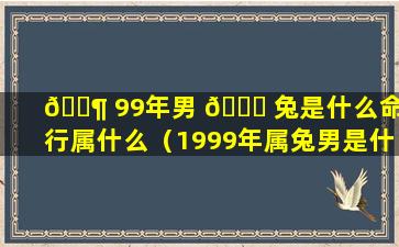 🐶 99年男 🐞 兔是什么命五行属什么（1999年属兔男是什么命和什么婚配）